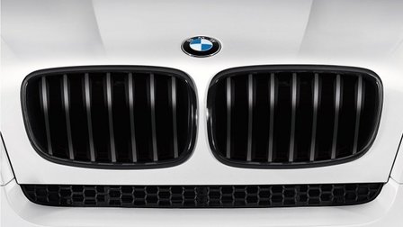 BMW Performance E70 Grille zwart