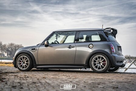 Cobra Suspension verlagingsveren | Mini R53 Cooper S - 30/30mm