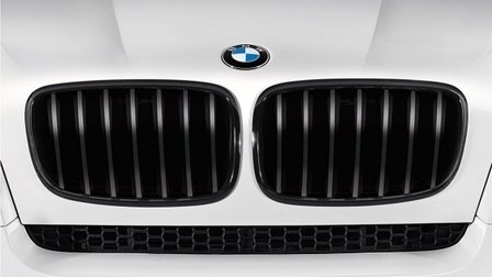 BMW M Performance grille X3 F25