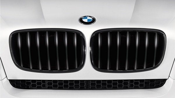 BMW M Performance grille X3 F25