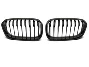 Grille hoogglans zwart F20/F21LCI