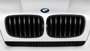 BMW Performance E71/E72 Grille zwart