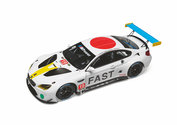 ART CAR BMW M6 GTLM John Baldessari 1:18